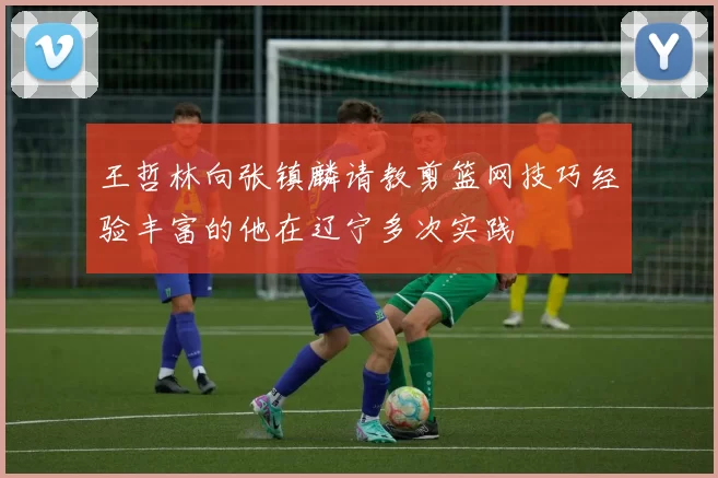 王哲林向张镇麟请教剪篮网技巧经验丰富的他在辽宁多次实践