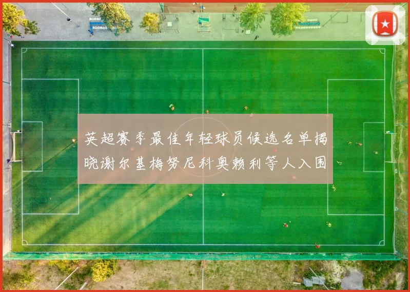 英超赛季最佳年轻球员候选名单揭晓谢尔基梅努尼科奥赖利等人入围